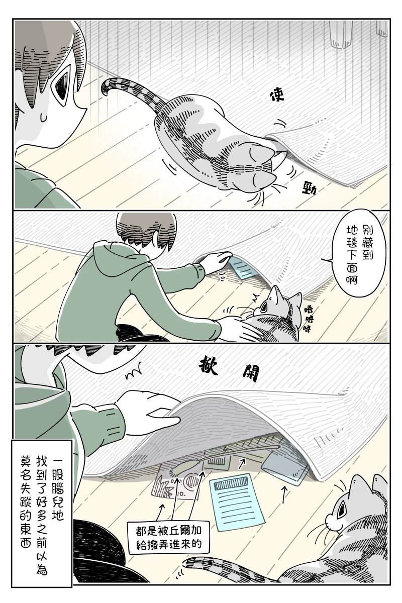 《关于养猫我一直是新手》漫画最新章节第51话免费下拉式在线观看章节第【2】张图片