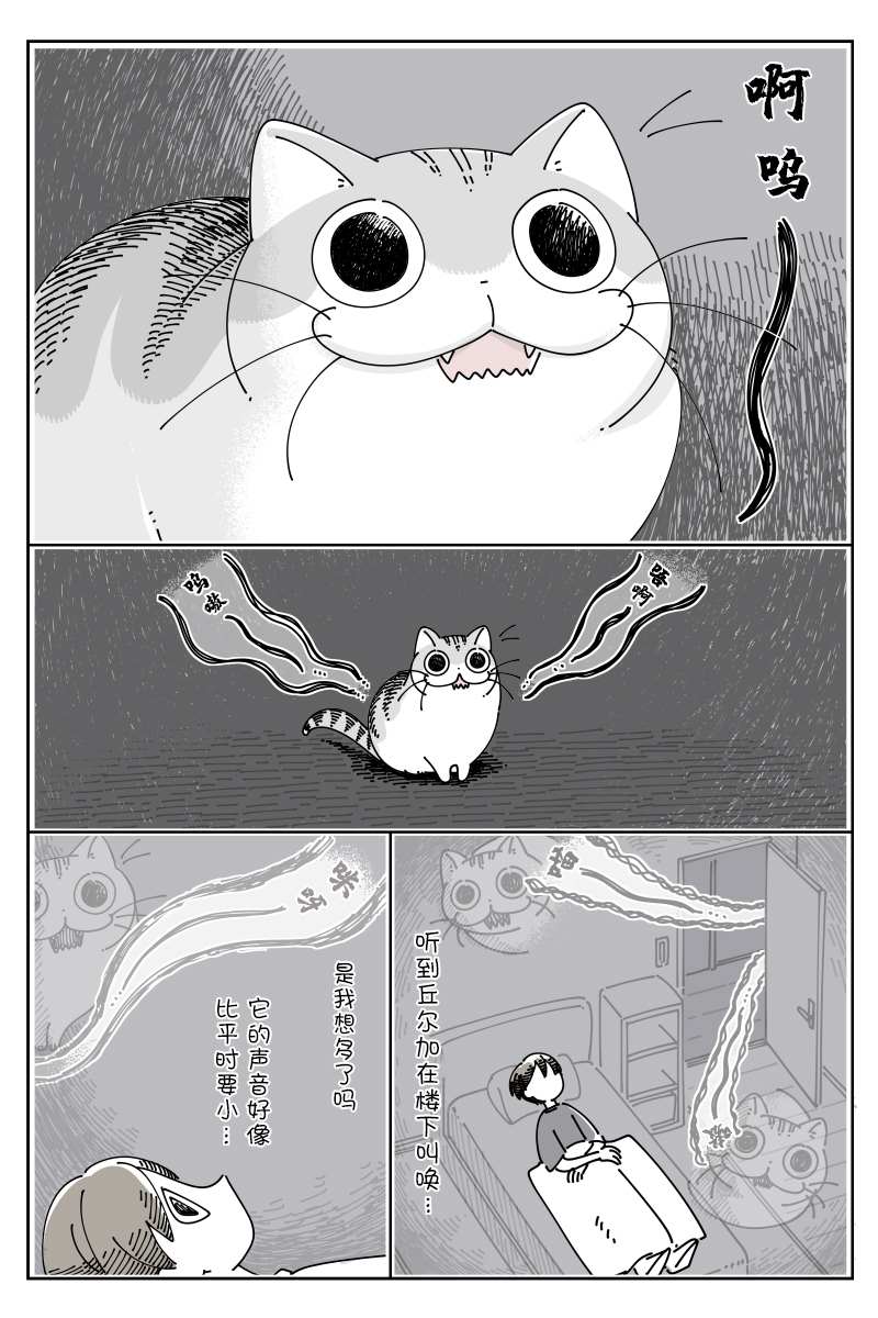 《关于养猫我一直是新手》漫画最新章节第83话免费下拉式在线观看章节第【1】张图片