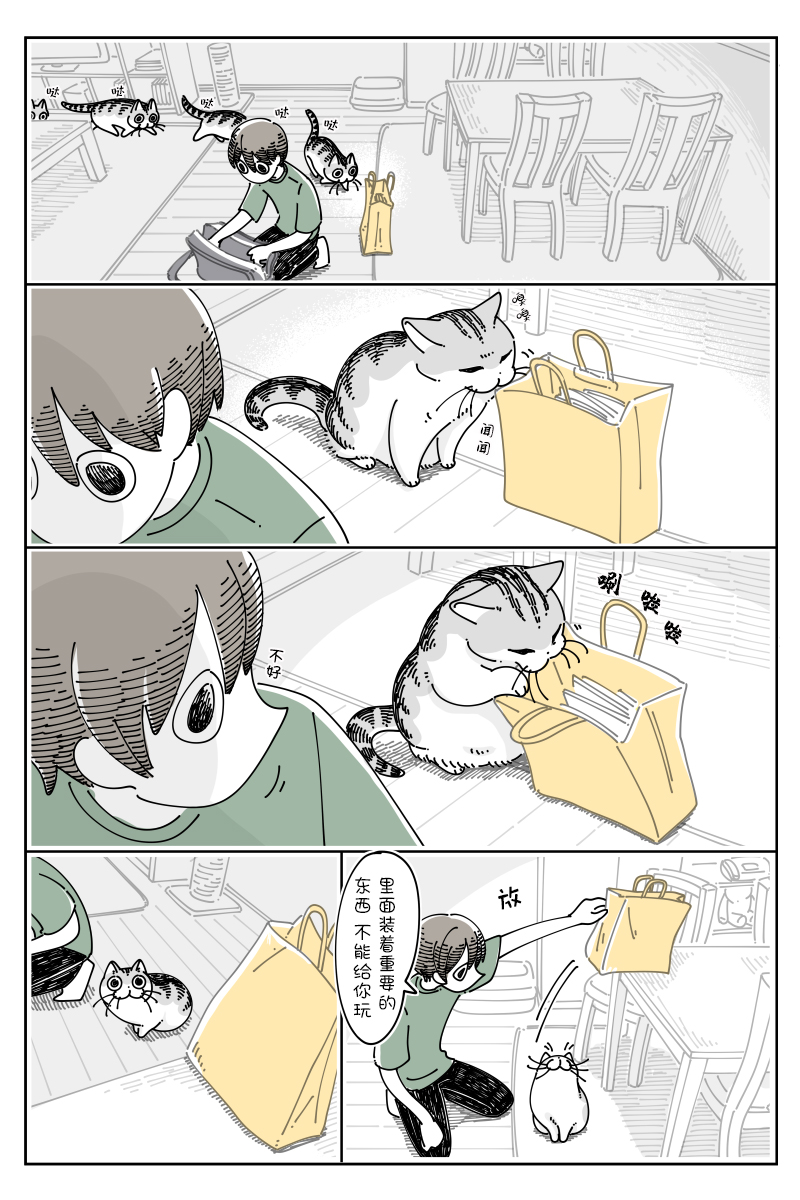 《关于养猫我一直是新手》漫画最新章节第122话免费下拉式在线观看章节第【1】张图片