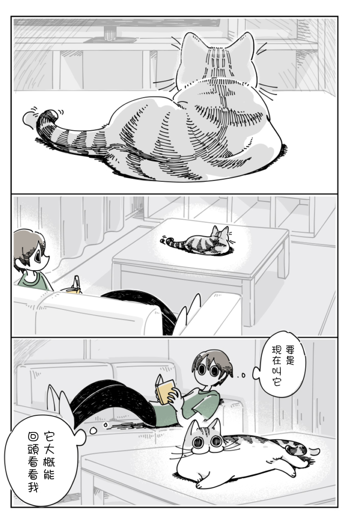 《关于养猫我一直是新手》漫画最新章节第19话免费下拉式在线观看章节第【1】张图片
