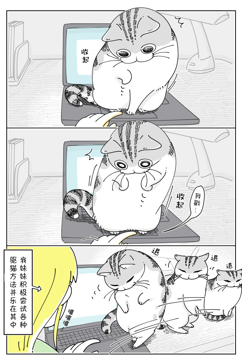 《关于养猫我一直是新手》漫画最新章节第150话免费下拉式在线观看章节第【3】张图片