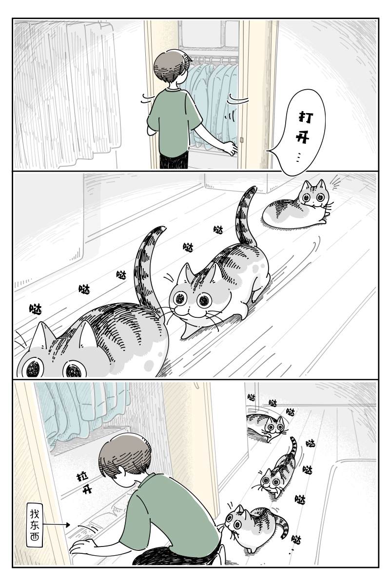 《关于养猫我一直是新手》漫画最新章节第120话免费下拉式在线观看章节第【1】张图片
