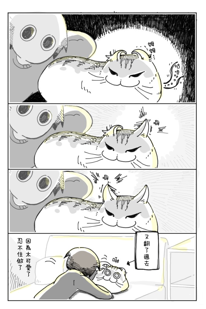 《关于养猫我一直是新手》漫画最新章节第5话免费下拉式在线观看章节第【12】张图片