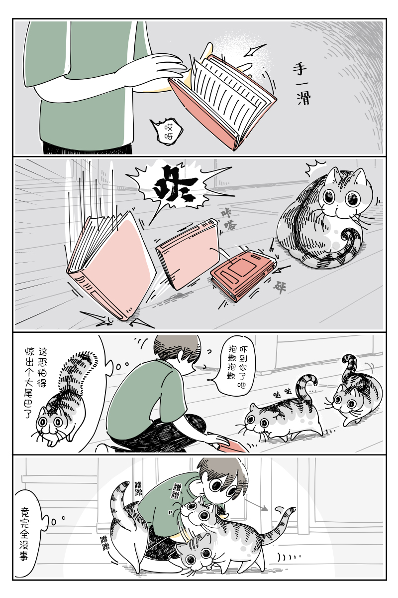 《关于养猫我一直是新手》漫画最新章节第78话免费下拉式在线观看章节第【1】张图片