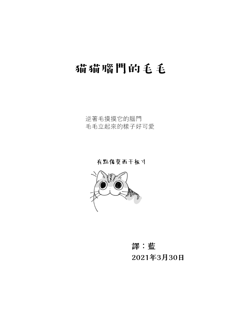 《关于养猫我一直是新手》漫画最新章节第57话免费下拉式在线观看章节第【3】张图片