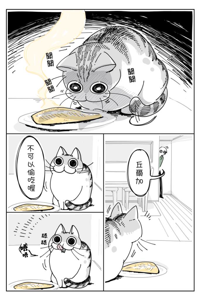 《关于养猫我一直是新手》漫画最新章节第9话免费下拉式在线观看章节第【2】张图片