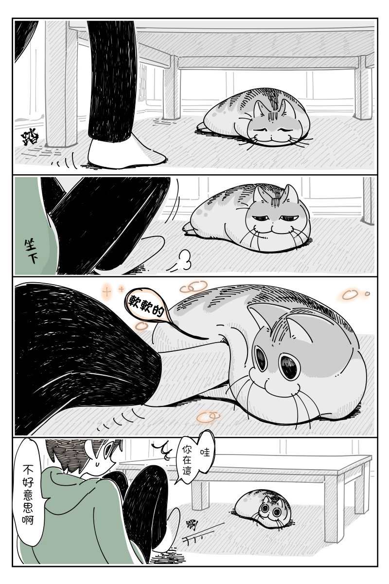 《关于养猫我一直是新手》漫画最新章节第43话免费下拉式在线观看章节第【1】张图片