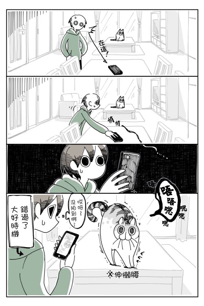 《关于养猫我一直是新手》漫画最新章节第7话免费下拉式在线观看章节第【2】张图片