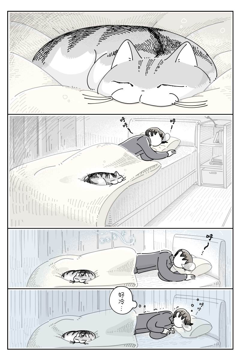 《关于养猫我一直是新手》漫画最新章节第98话免费下拉式在线观看章节第【1】张图片