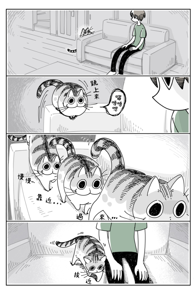《关于养猫我一直是新手》漫画最新章节第25话免费下拉式在线观看章节第【1】张图片