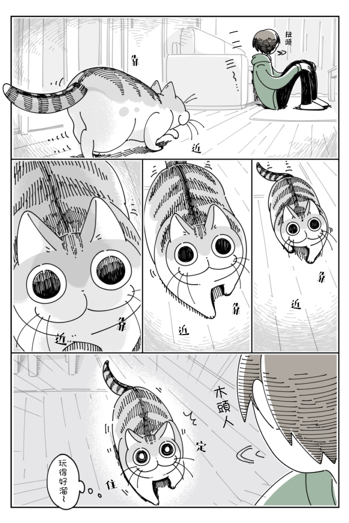 《关于养猫我一直是新手》漫画最新章节第38话免费下拉式在线观看章节第【3】张图片