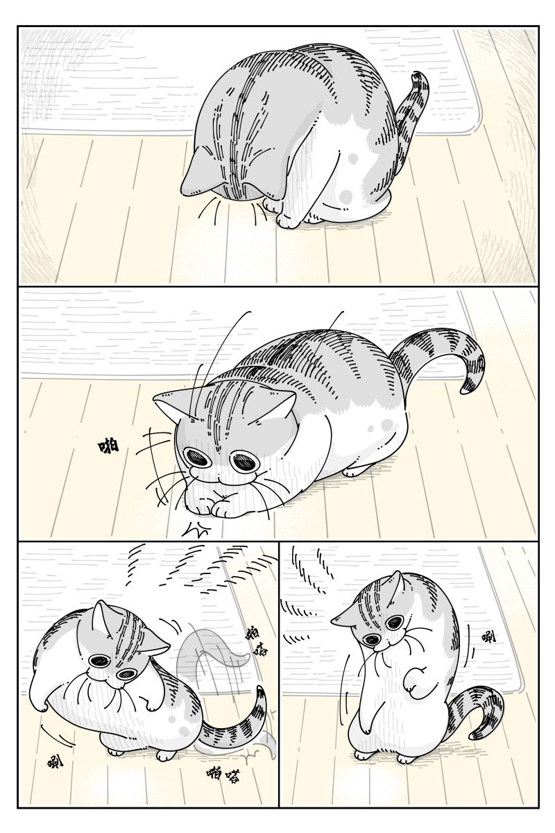 《关于养猫我一直是新手》漫画最新章节第68话免费下拉式在线观看章节第【1】张图片