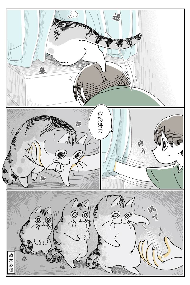 《关于养猫我一直是新手》漫画最新章节第120话免费下拉式在线观看章节第【3】张图片
