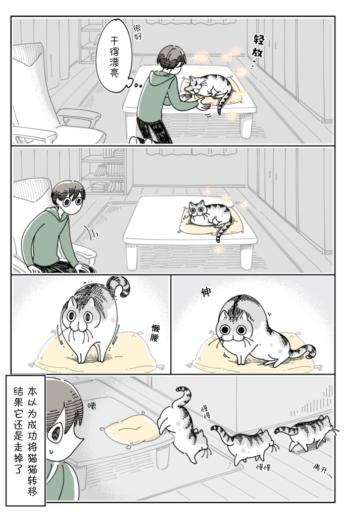 《关于养猫我一直是新手》漫画最新章节第86话免费下拉式在线观看章节第【3】张图片