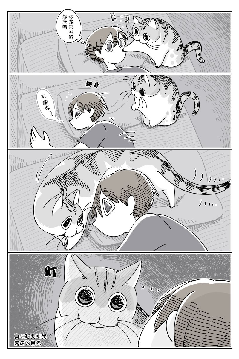 《关于养猫我一直是新手》漫画最新章节第69话免费下拉式在线观看章节第【2】张图片