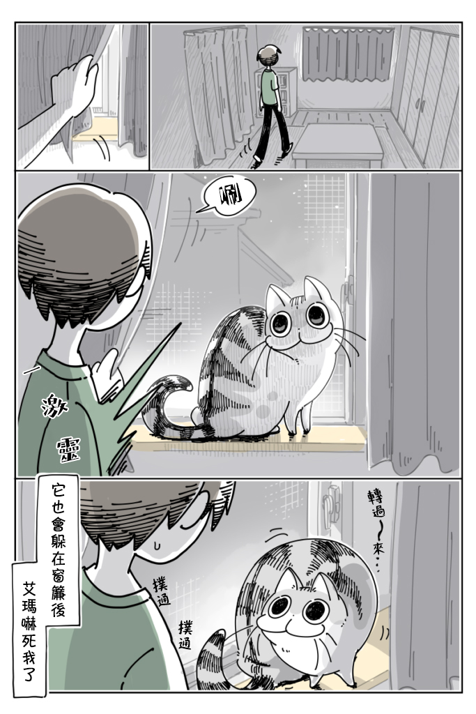 《关于养猫我一直是新手》漫画最新章节第24话免费下拉式在线观看章节第【2】张图片
