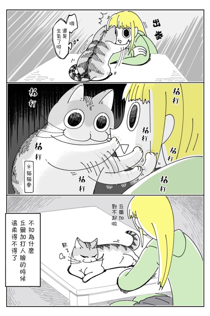 《关于养猫我一直是新手》漫画最新章节第35话免费下拉式在线观看章节第【3】张图片
