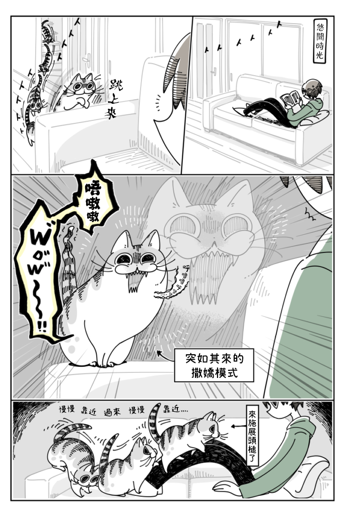 《关于养猫我一直是新手》漫画最新章节第36话免费下拉式在线观看章节第【1】张图片