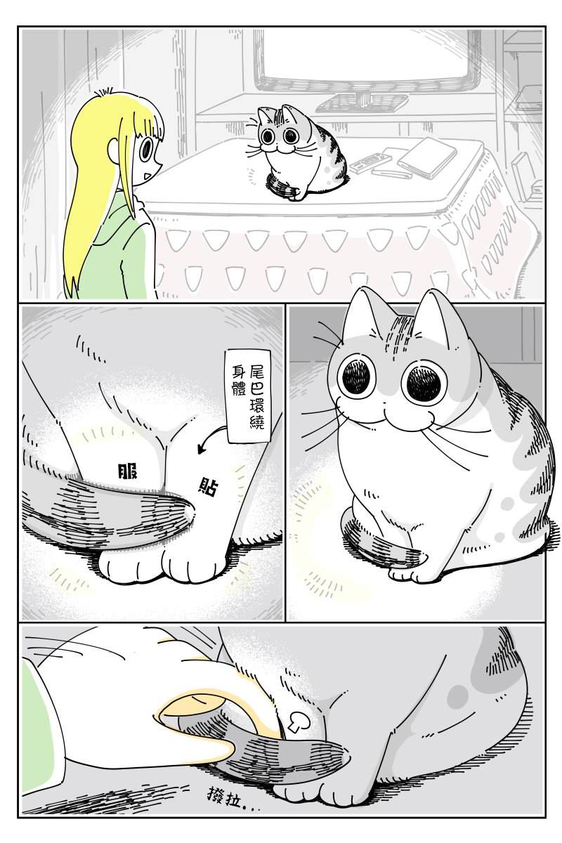 《关于养猫我一直是新手》漫画最新章节第47话免费下拉式在线观看章节第【1】张图片
