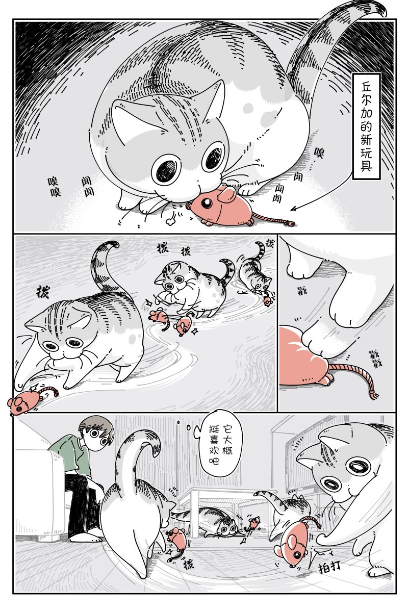 《关于养猫我一直是新手》漫画最新章节第85话免费下拉式在线观看章节第【1】张图片