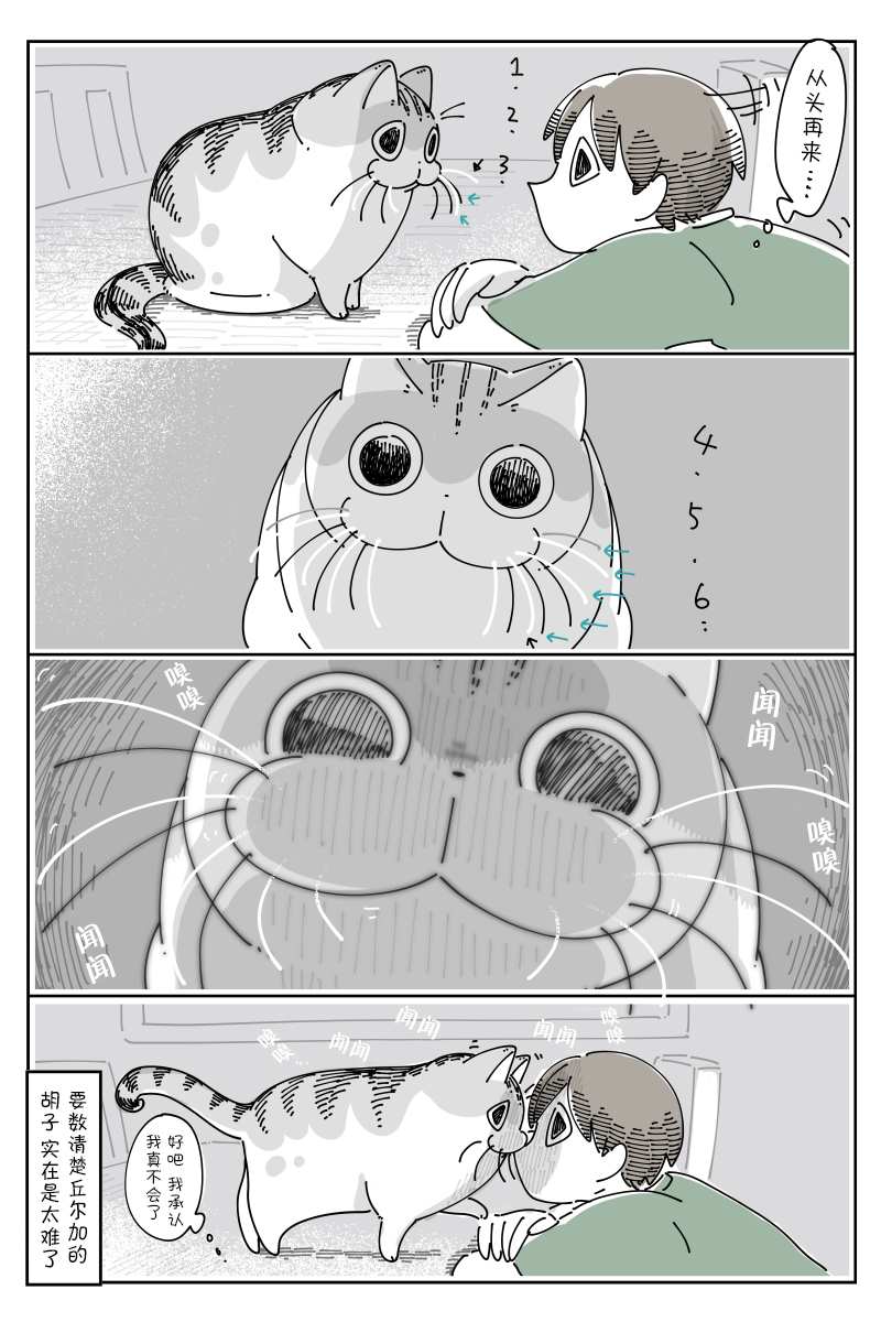 《关于养猫我一直是新手》漫画最新章节第84话免费下拉式在线观看章节第【3】张图片