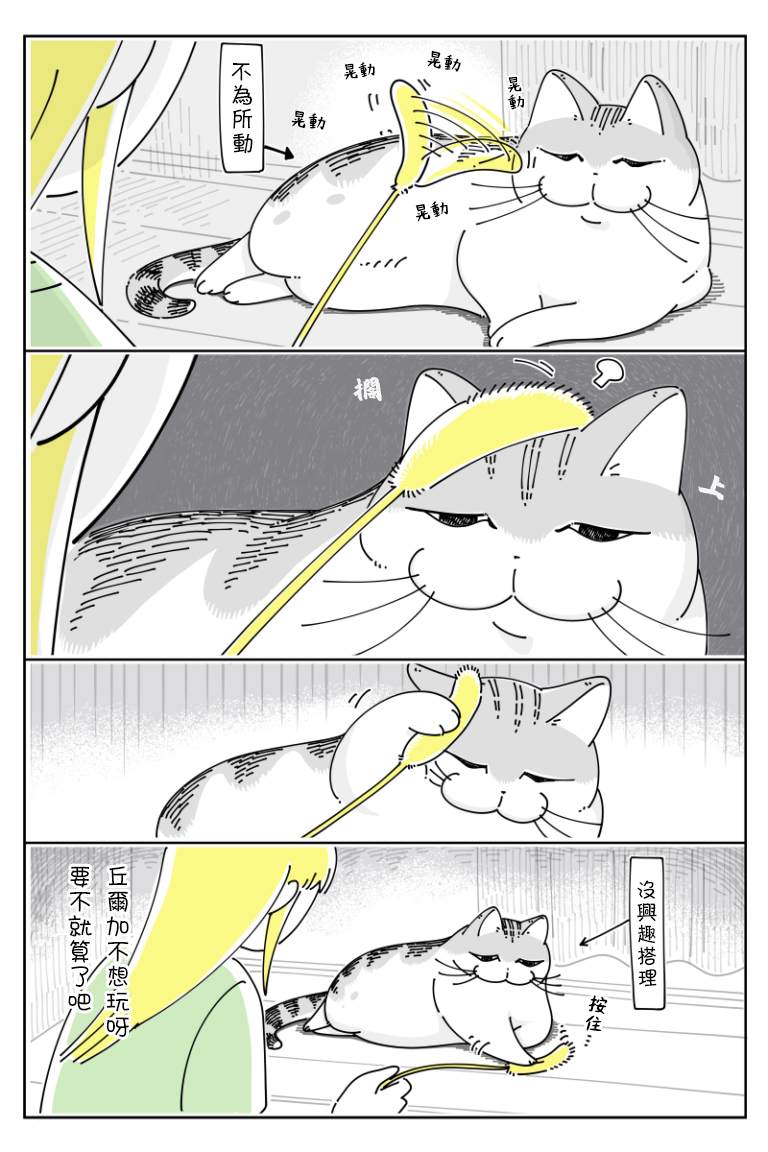 《关于养猫我一直是新手》漫画最新章节第72话免费下拉式在线观看章节第【2】张图片