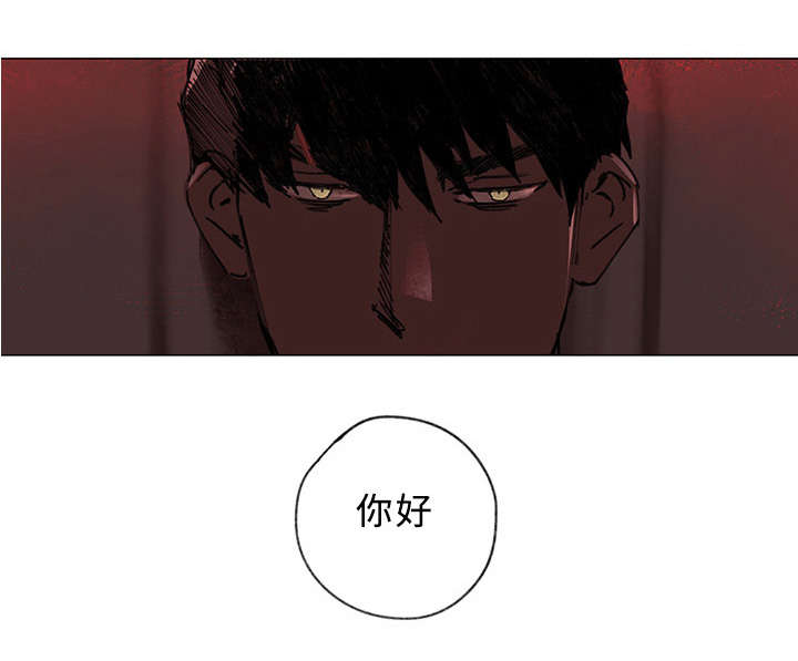 《守护之证》漫画最新章节第37话免费下拉式在线观看章节第【1】张图片