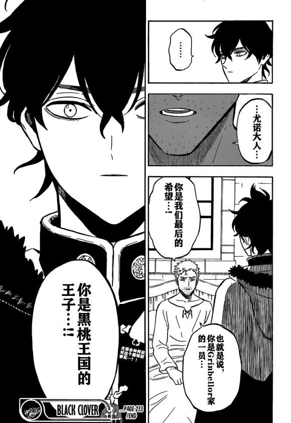 《黑色四叶草》漫画最新章节第233话免费下拉式在线观看章节第【12】张图片
