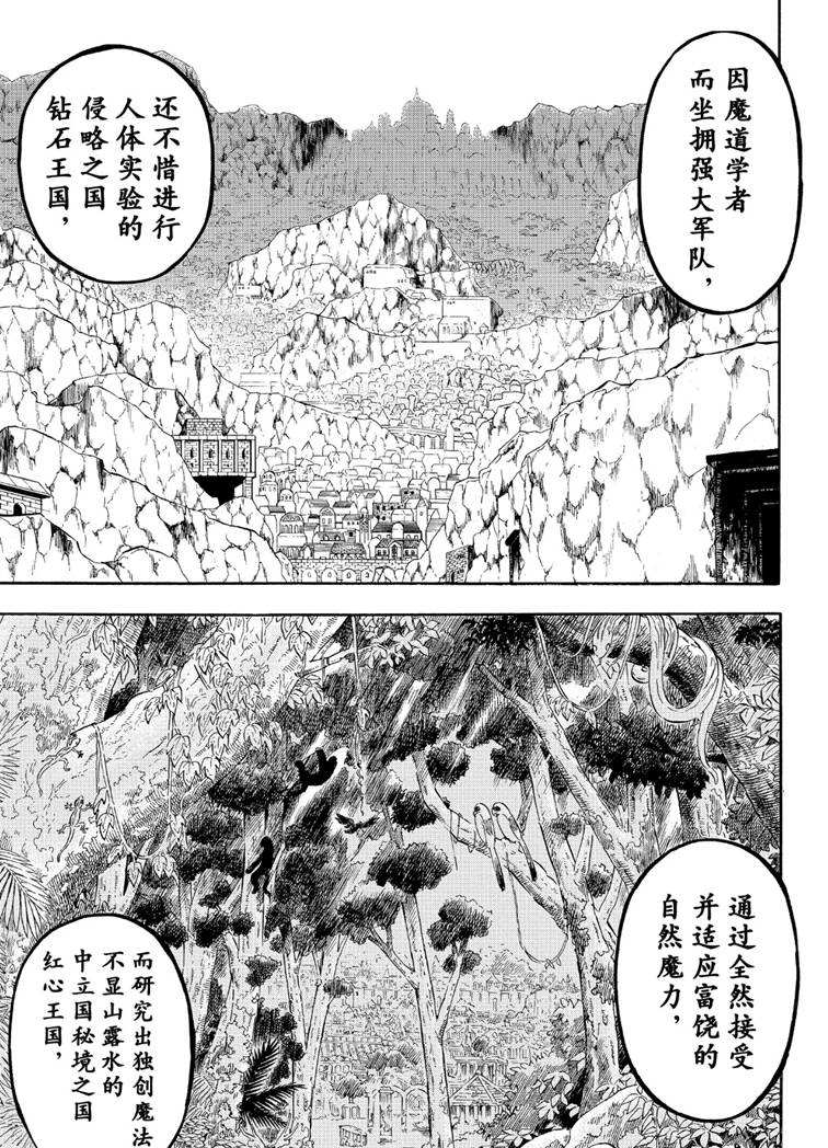 《黑色四叶草》漫画最新章节第216话 试看版免费下拉式在线观看章节第【5】张图片