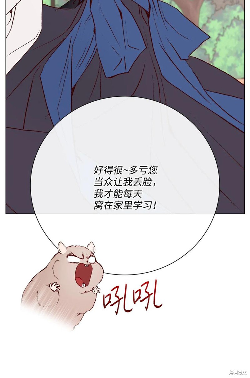 《重生成为公爵家的丑女》漫画最新章节第27话免费下拉式在线观看章节第【5】张图片