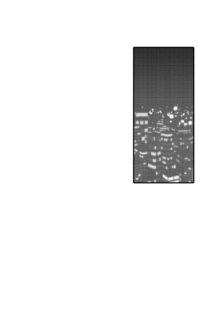 《伊甸园的秘密》漫画最新章节第2话免费下拉式在线观看章节第【23】张图片