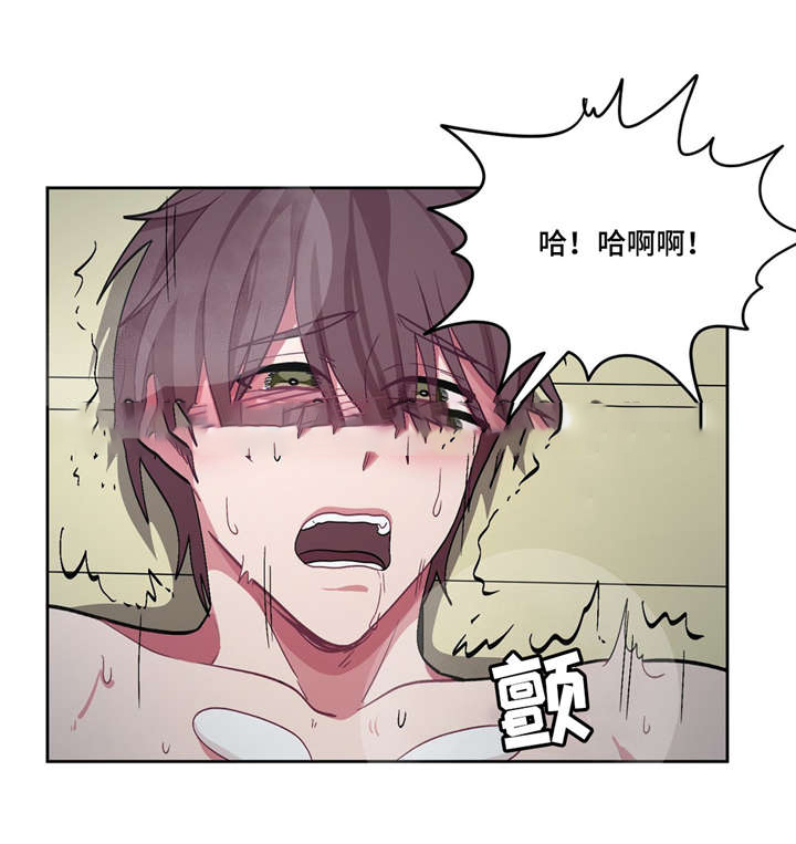 《如何服从》漫画最新章节第29话免费下拉式在线观看章节第【7】张图片