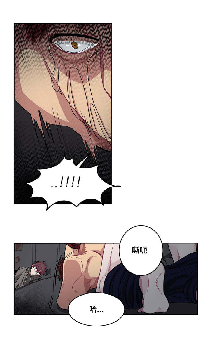 《如何服从》漫画最新章节第8话免费下拉式在线观看章节第【3】张图片