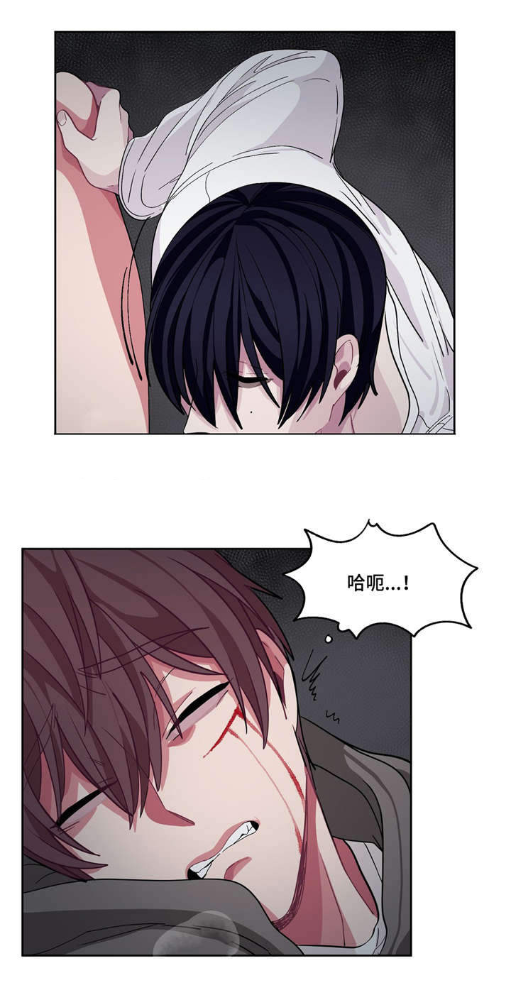 《如何服从》漫画最新章节第14话免费下拉式在线观看章节第【5】张图片