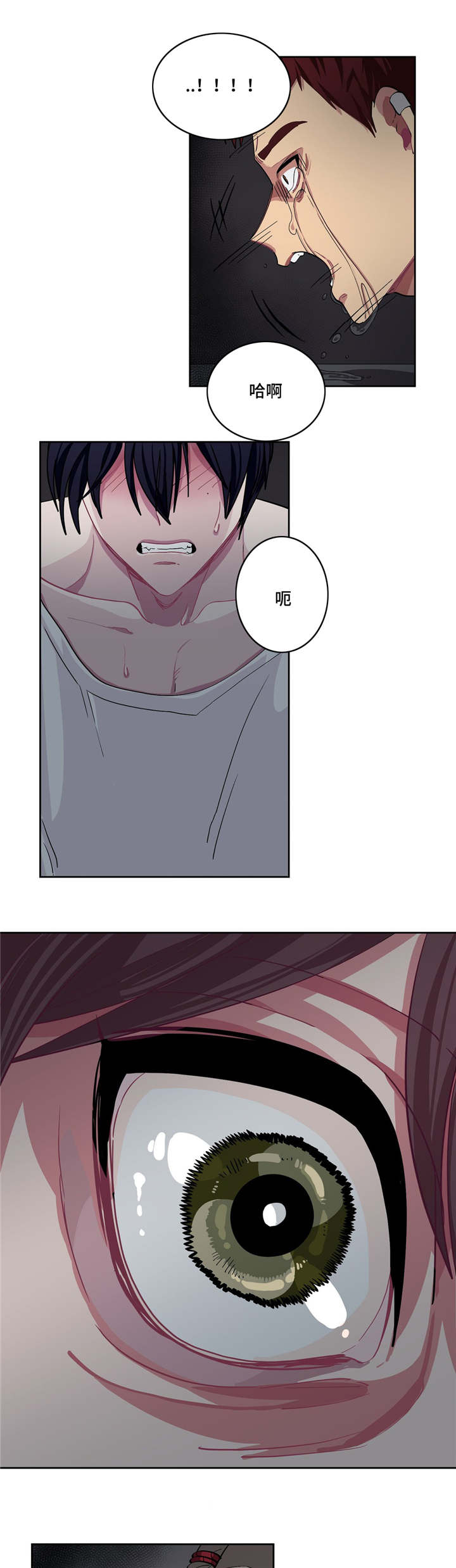 《如何服从》漫画最新章节第8话免费下拉式在线观看章节第【5】张图片