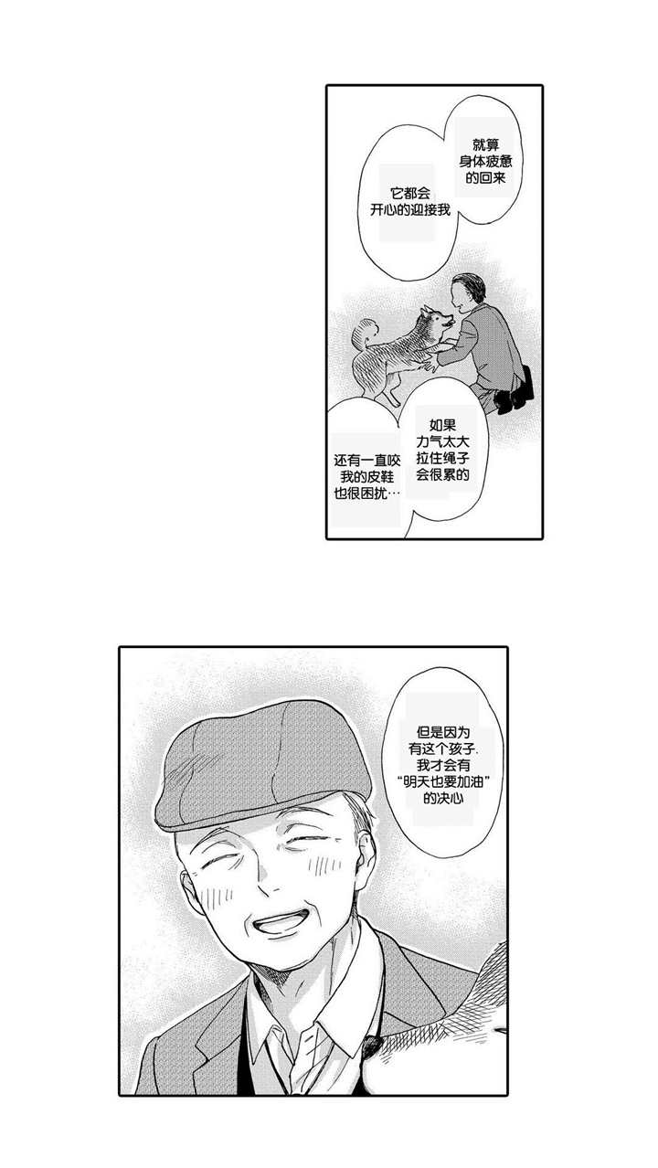 《家有小鹿》漫画最新章节第9话免费下拉式在线观看章节第【31】张图片