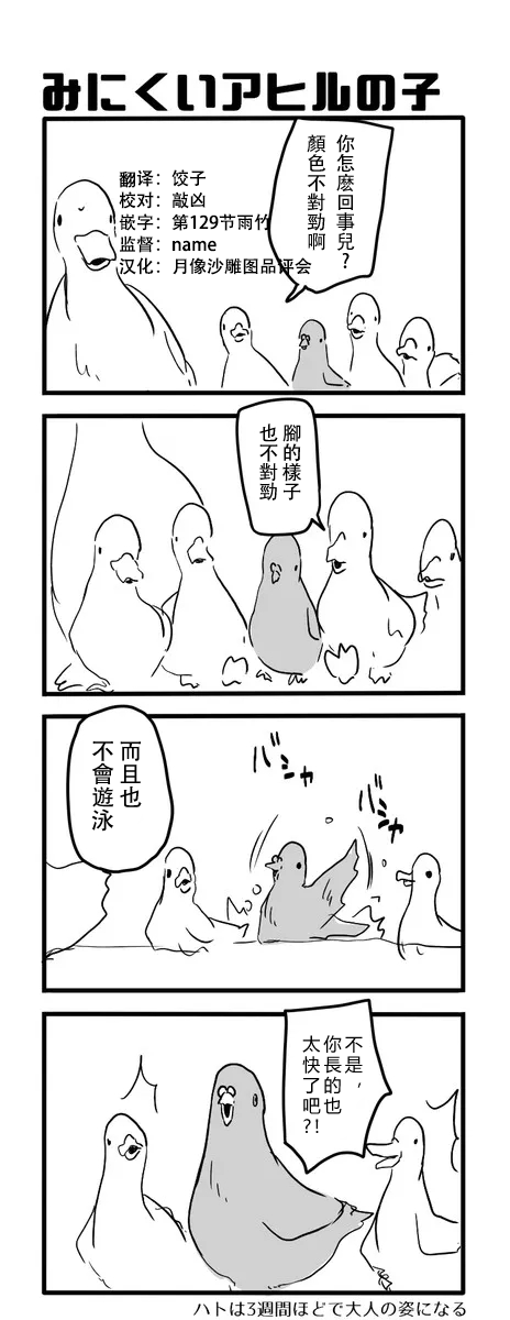 《鸽子》漫画最新章节鸽子免费下拉式在线观看章节第【75】张图片