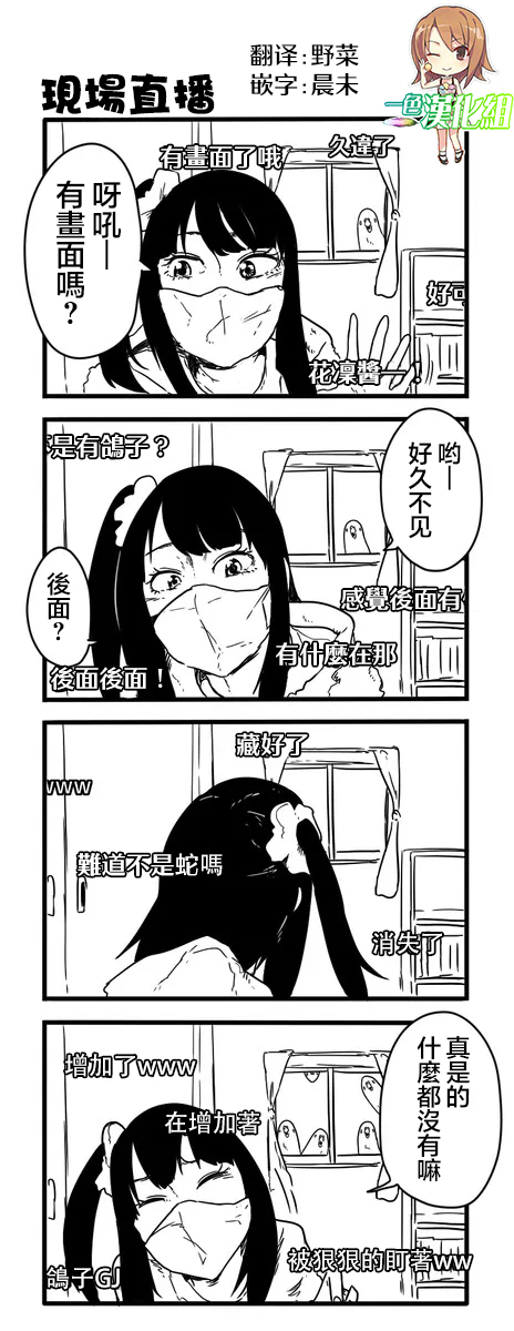 《鸽子》漫画最新章节鸽子免费下拉式在线观看章节第【47】张图片