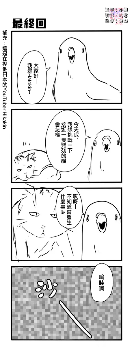 《鸽子》漫画最新章节鸽子免费下拉式在线观看章节第【31】张图片