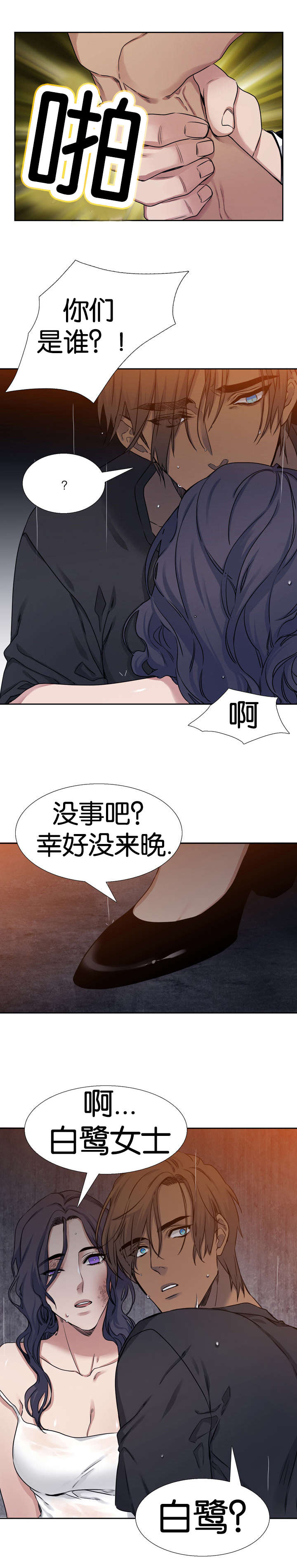 《青鹤/寂静鸟》漫画最新章节第47话免费下拉式在线观看章节第【13】张图片