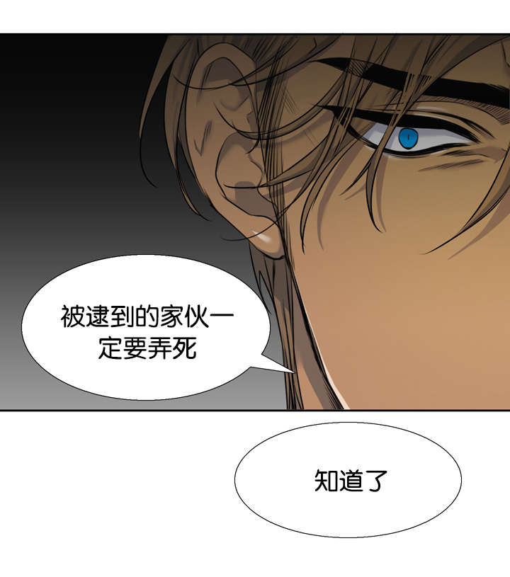 《青鹤/寂静鸟》漫画最新章节第37话免费下拉式在线观看章节第【33】张图片