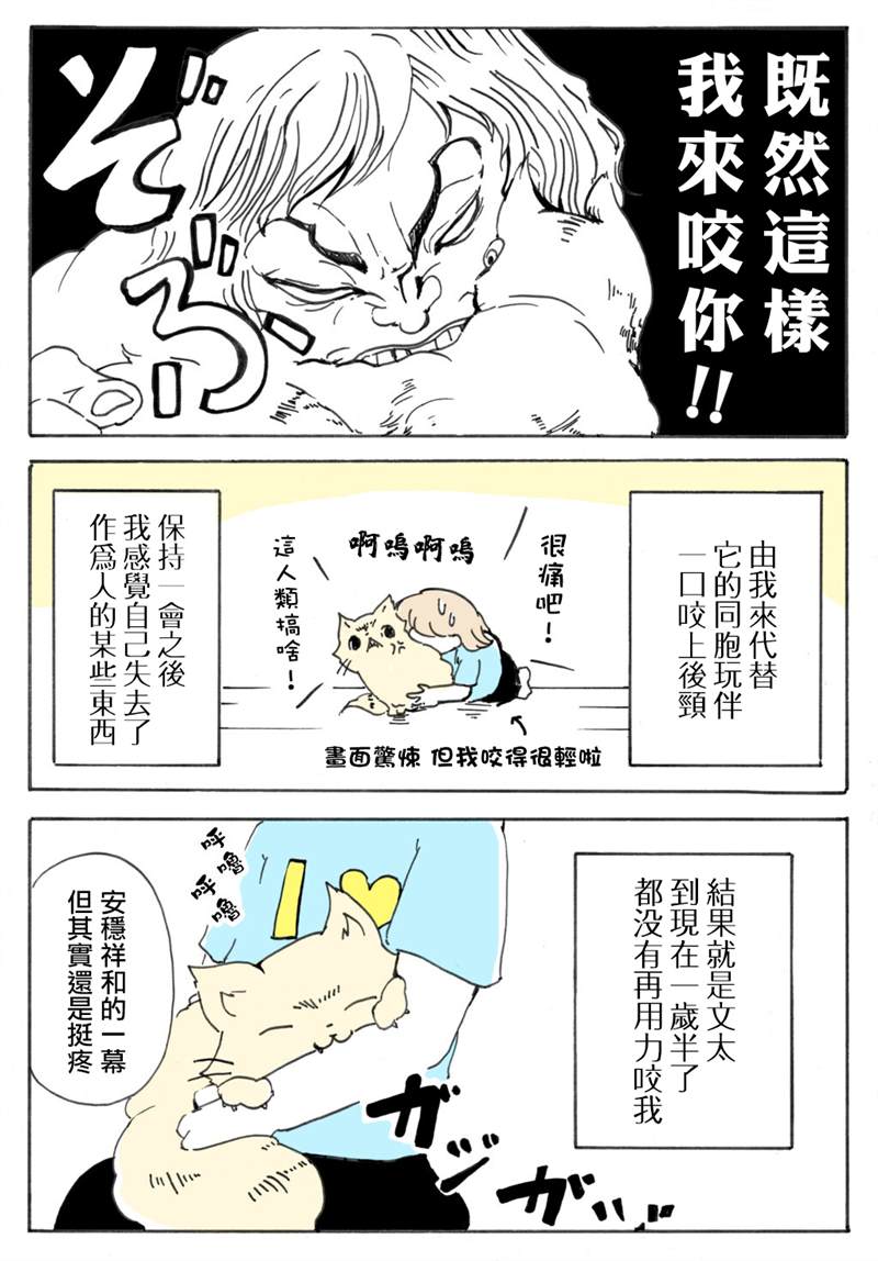 《猫又疆界》漫画最新章节第13话免费下拉式在线观看章节第【2】张图片