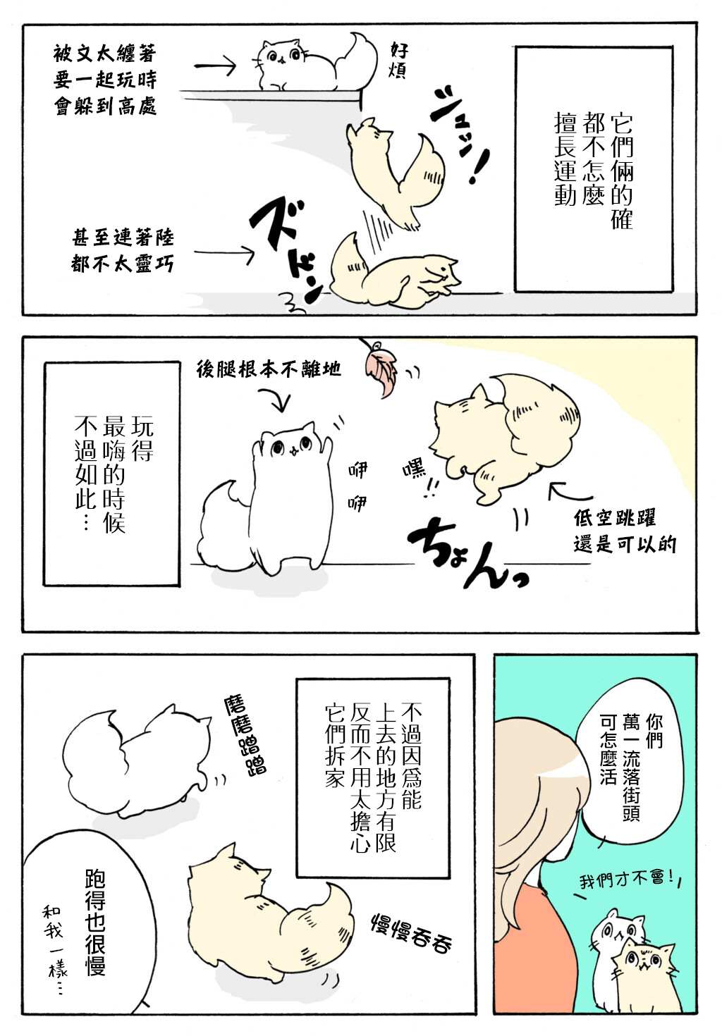 《猫又疆界》漫画最新章节第16话免费下拉式在线观看章节第【2】张图片