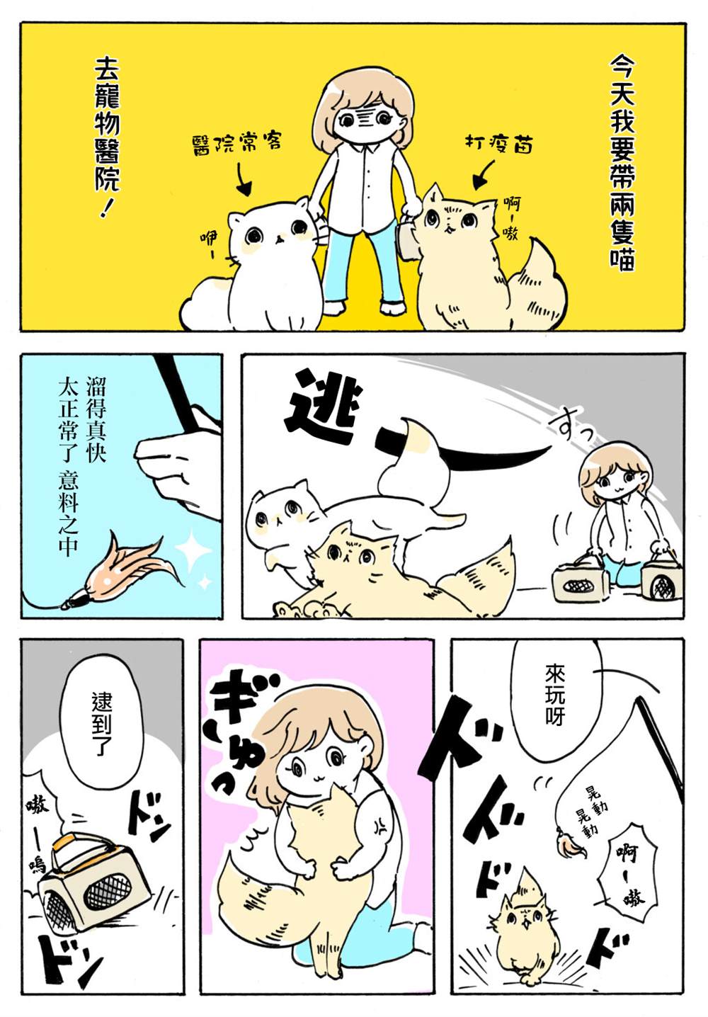 《猫又疆界》漫画最新章节第6话免费下拉式在线观看章节第【1】张图片