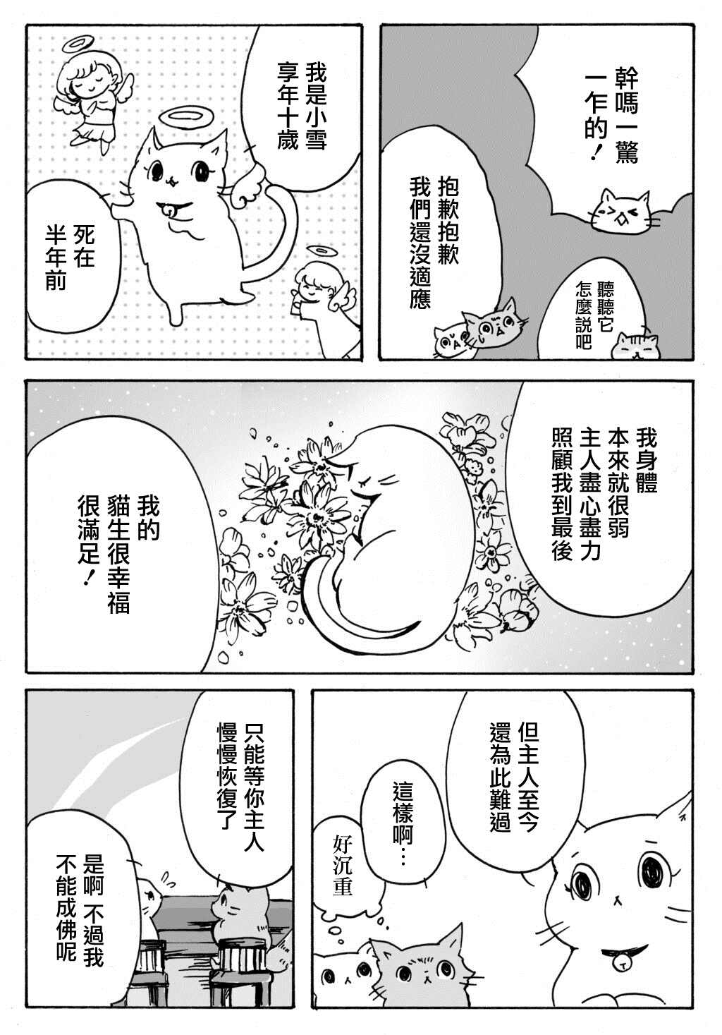 《猫又疆界》漫画最新章节第14话免费下拉式在线观看章节第【5】张图片