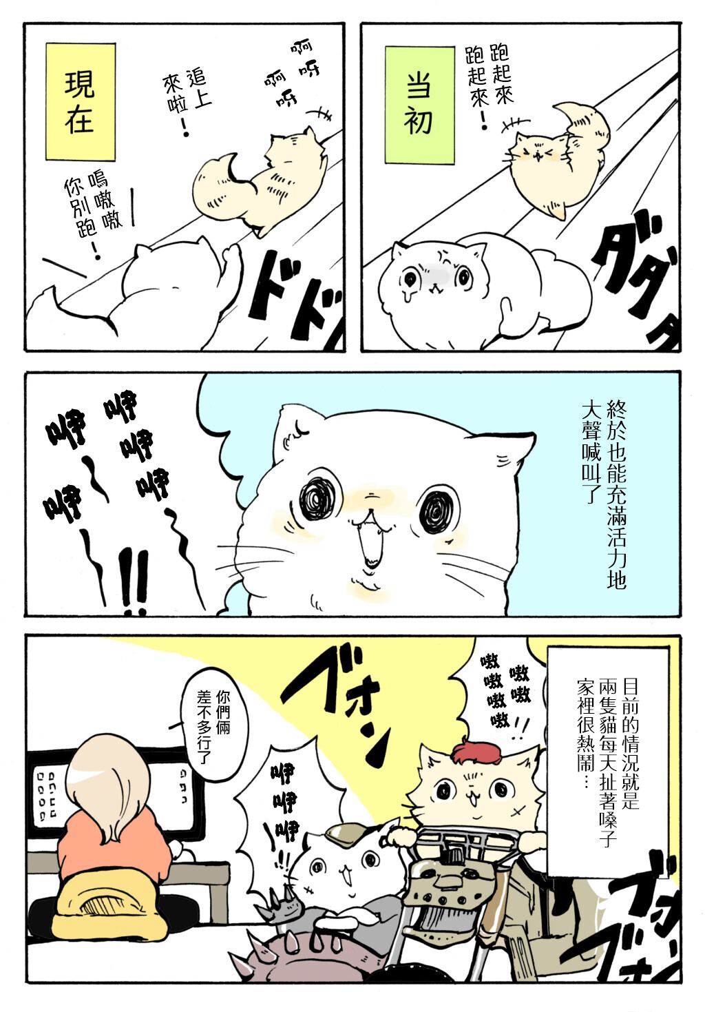 《猫又疆界》漫画最新章节第29话免费下拉式在线观看章节第【2】张图片