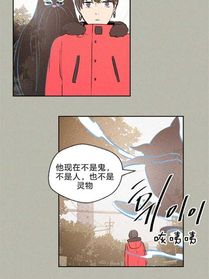 《午夜共生》漫画最新章节第116话免费下拉式在线观看章节第【13】张图片