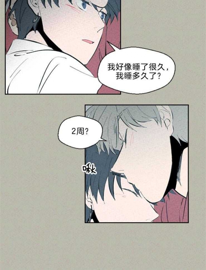 《午夜共生》漫画最新章节第114话免费下拉式在线观看章节第【15】张图片