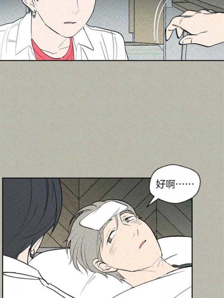 《午夜共生》漫画最新章节第69话免费下拉式在线观看章节第【15】张图片