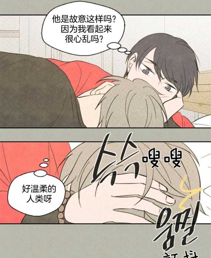 《午夜共生》漫画最新章节第47话免费下拉式在线观看章节第【16】张图片